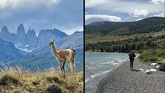 Acteurs Locaux Les Boudubouts au Chili - 123 un Guanaco sous le charme à Torres del Paine