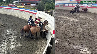 Les Boudubouts au Chili - spectacle haut en couleurs celui d’un authentique rodéo chilien.